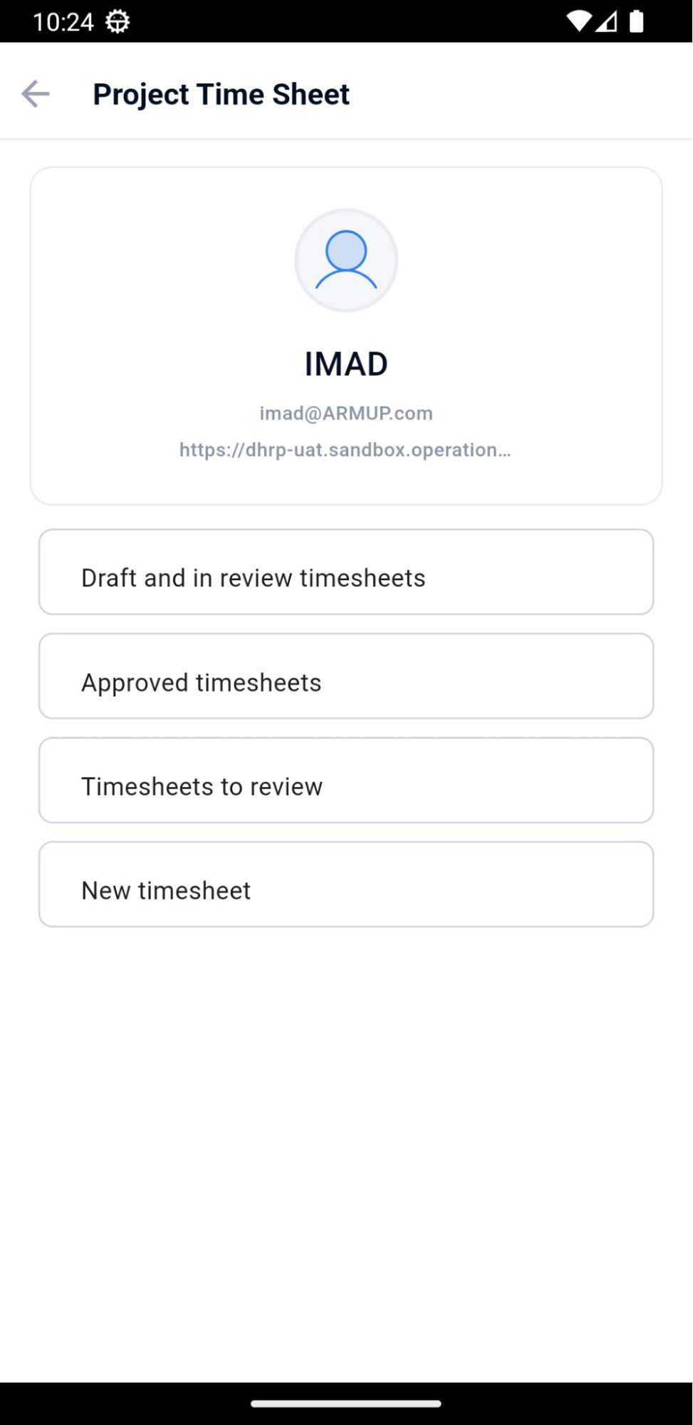 project timesheet