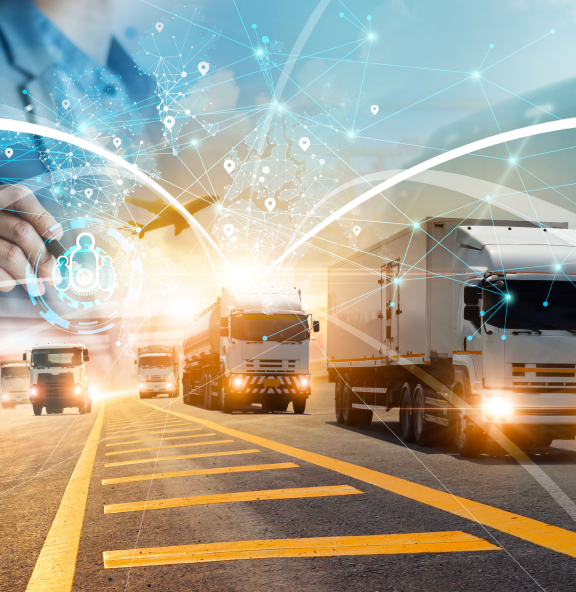 Trade & Distribution