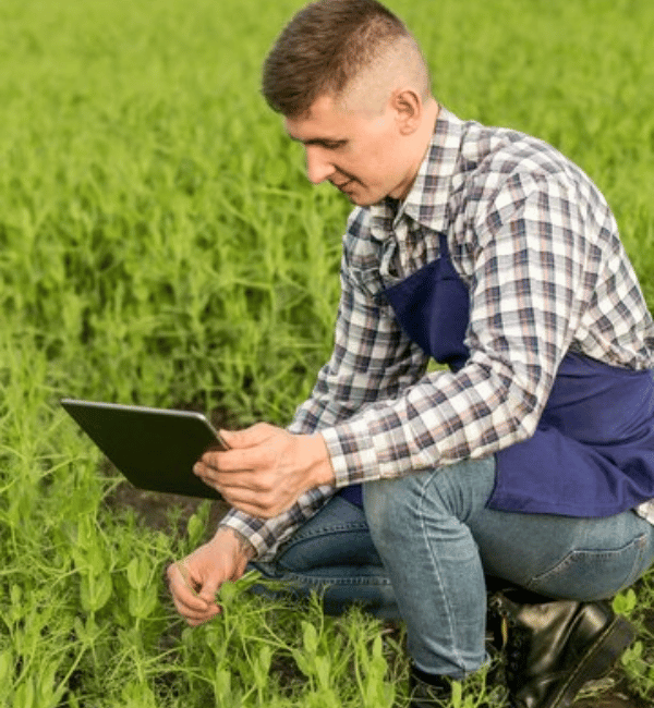 Dynamics 365 for agriculture 3